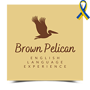 Brown Pelican | English Language Experience