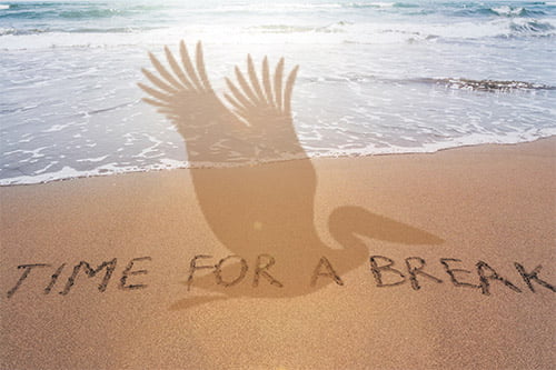 Zakończenie roku szkolnego w&nbsp;piątek 16 czerwca