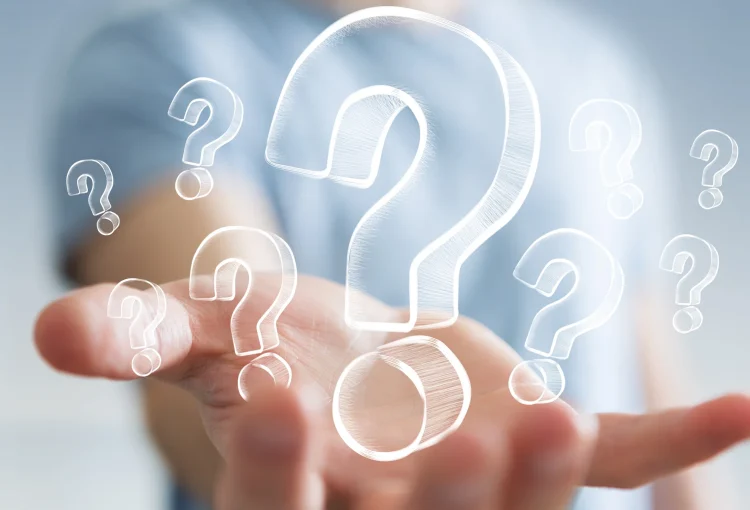 Brown Pelican | Kahoot Game: B2 Vocabulary: Compound Adjectives