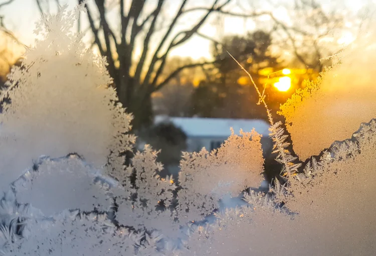 Brown Pelican | Kahoot Game: B2 Vocabulary: The weather