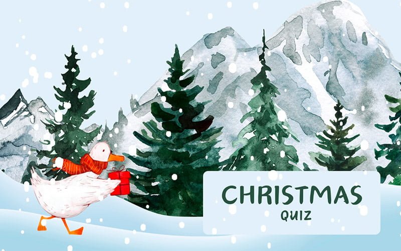 Brown Pelican | Christmas Quiz