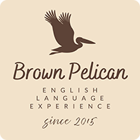 Brown Pelican | English Language Experience